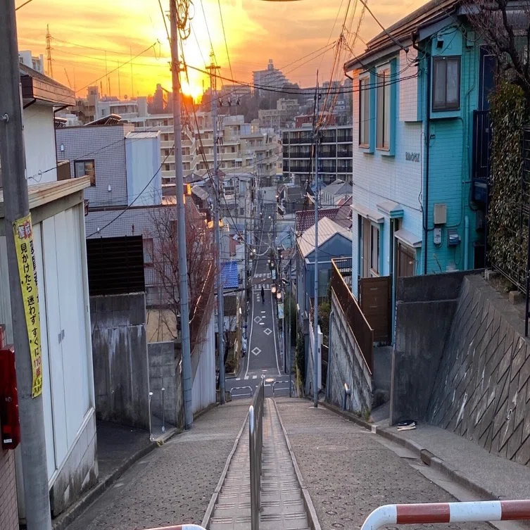 板橋 区 徳丸(02)