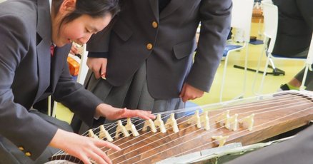琴　13玄　お稽古 琴 13玄 お稽古 （箏 琴 13弦 十三弦 練習用 出向く - 和楽器）