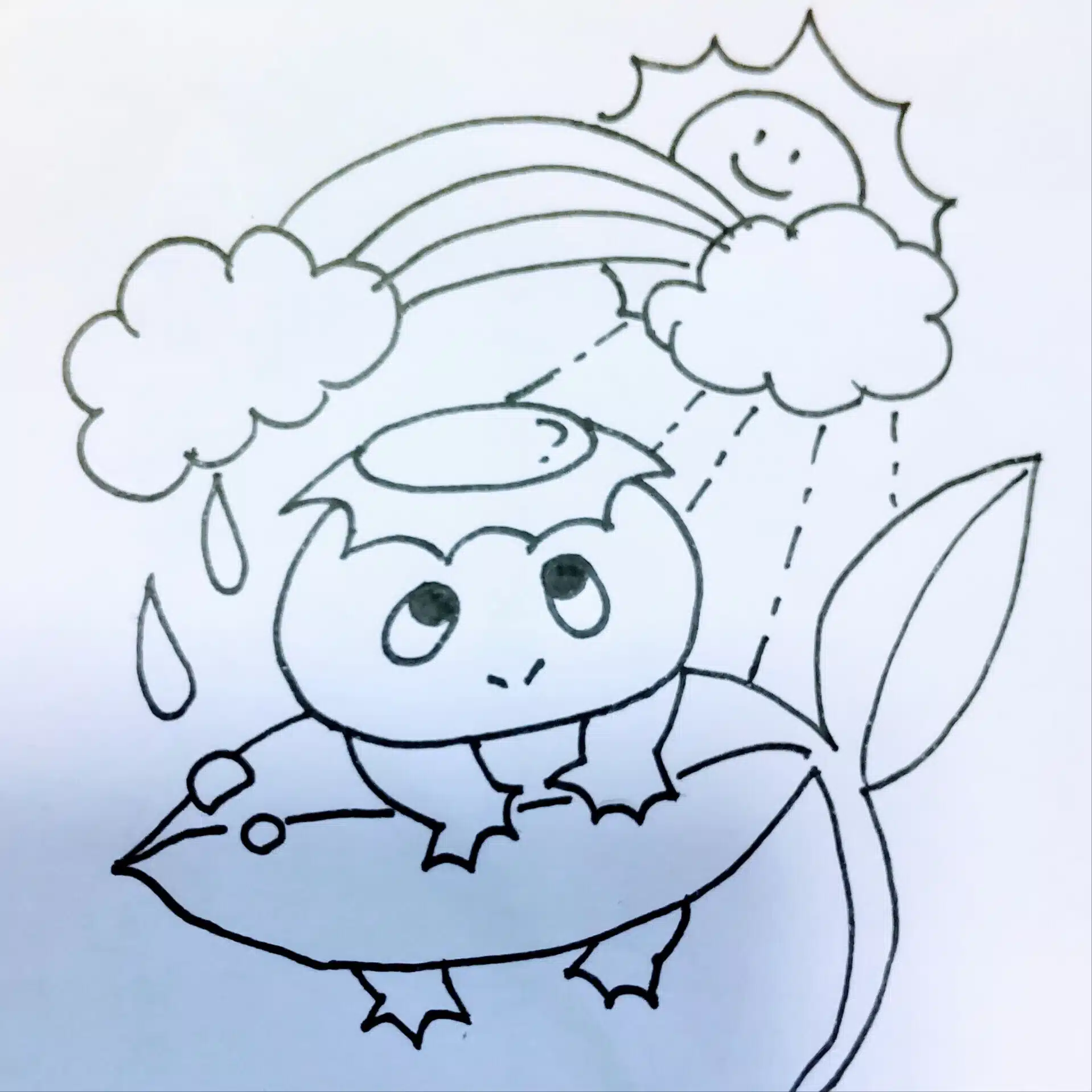 雨虹
