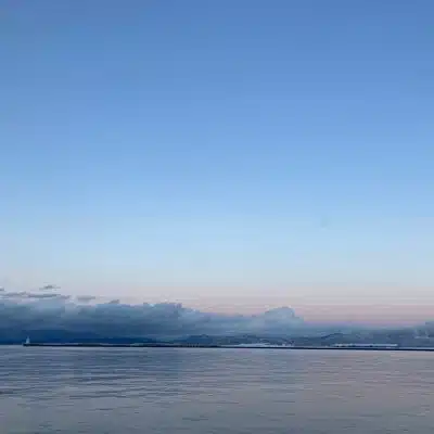 櫻田悠