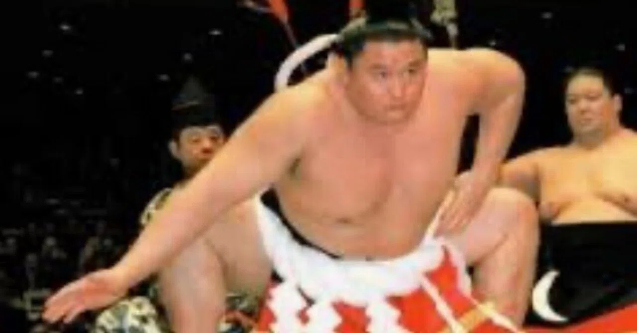 平成の大横綱(貴乃花)の魅力｜こうさく