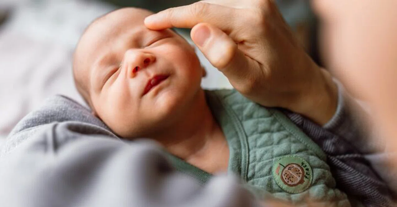 最新｜亜鉛は乳児の脳の発達と認知をサポートする可能性がある