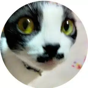 もも【花写真・棚田写真・もも写真】