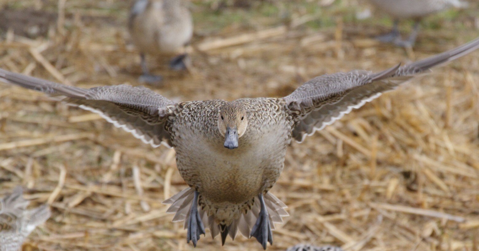 1b341b22e3af7691c4b4367c720ca7