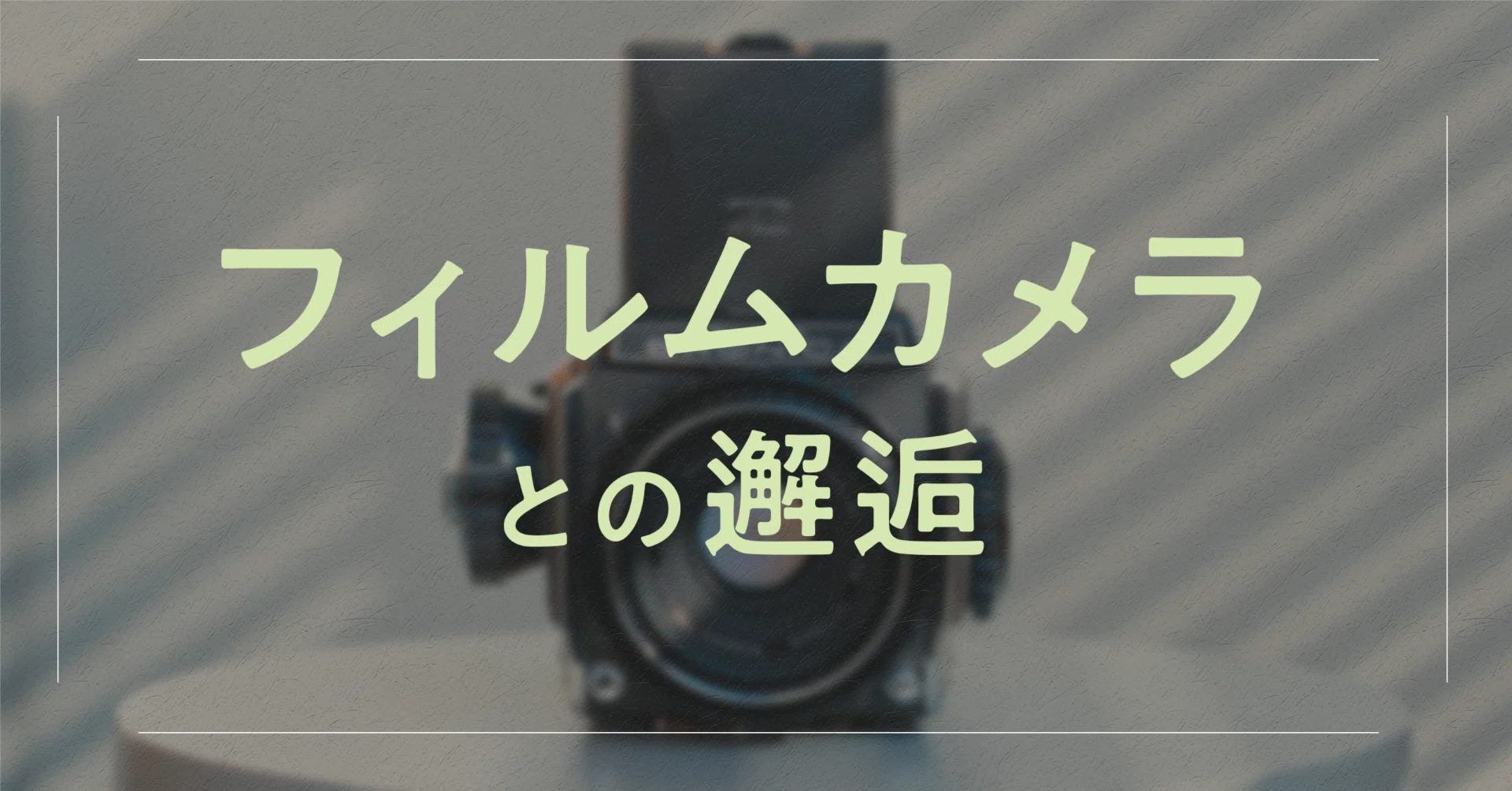 フィルムカメラを始めたきっかけ｜本間 恭介 / MARKS BRANDING inc.