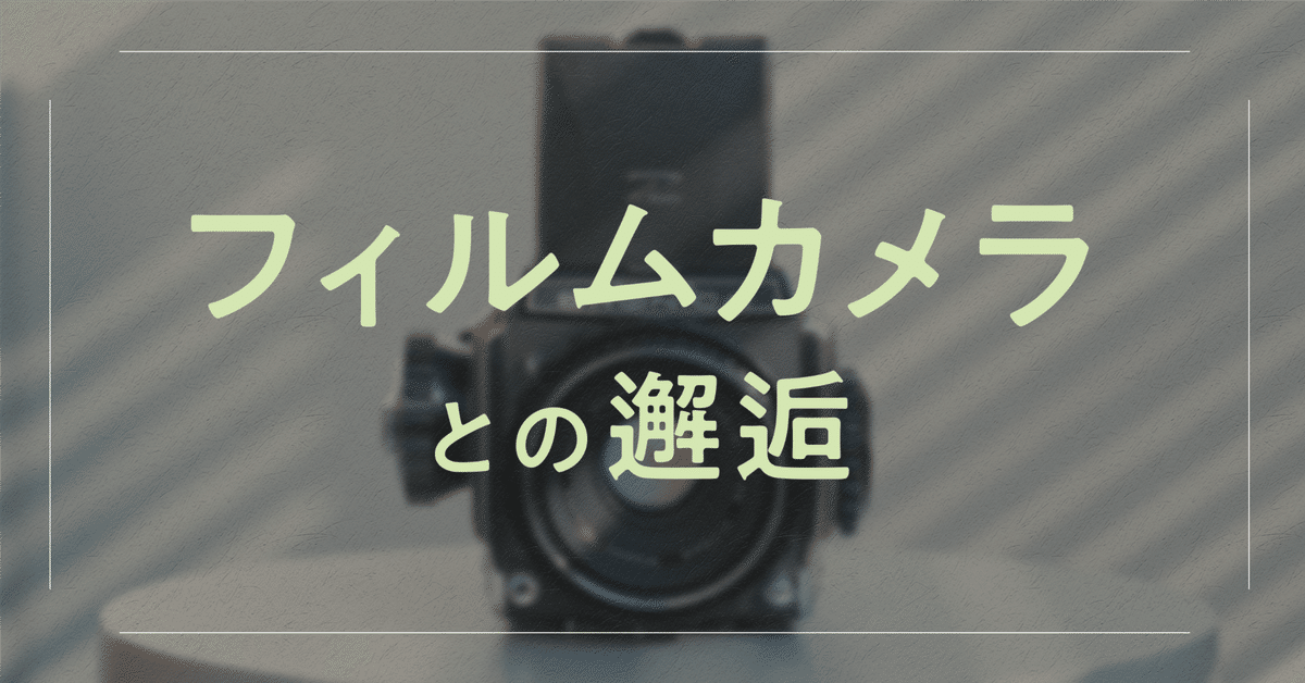 フィルムカメラを始めたきっかけ｜本間 恭介 / MARKS BRANDING inc.