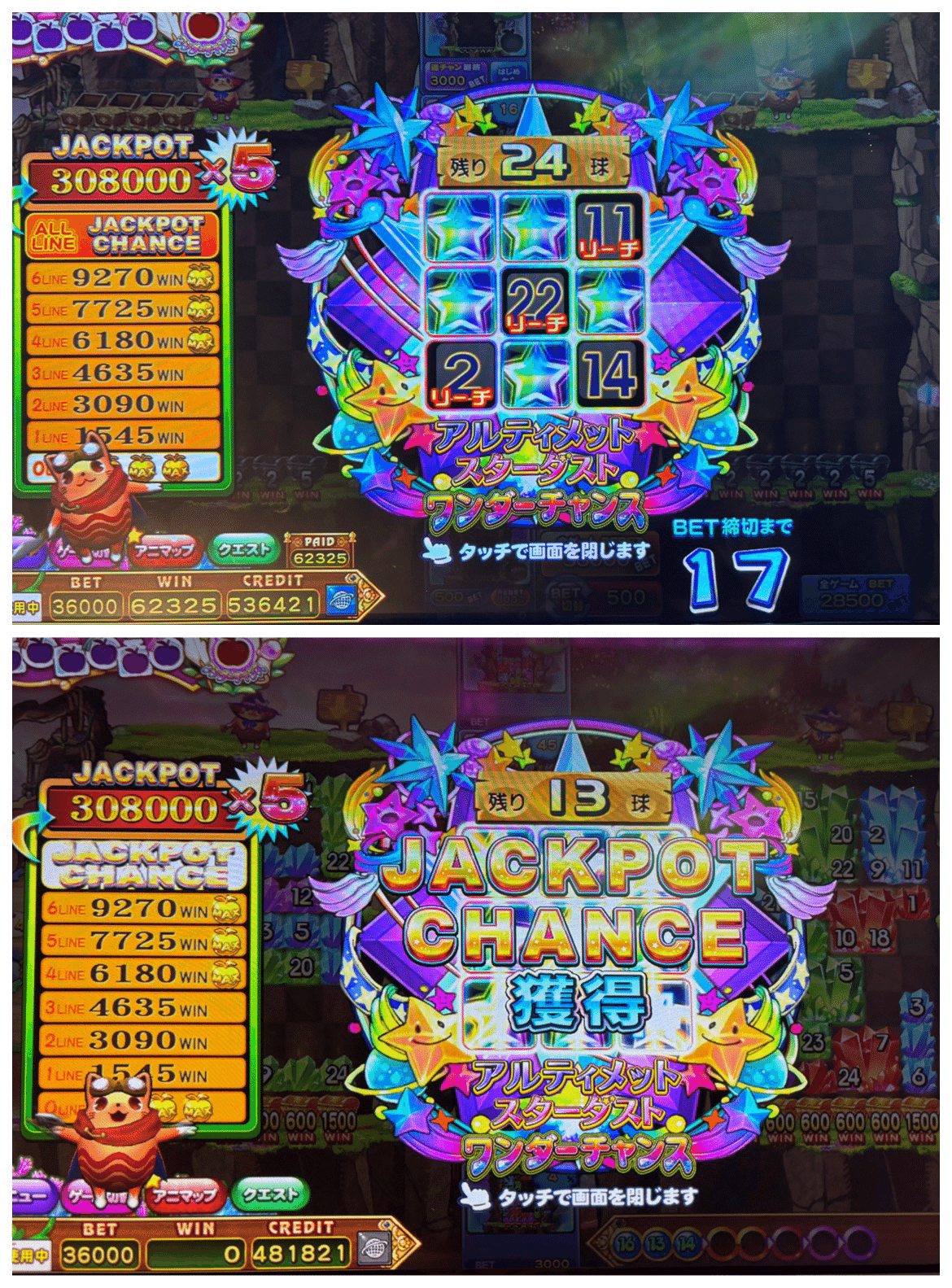 everydayアニマロッタ！】 大冒険の果てに-015- 2025.02.02｜まえす