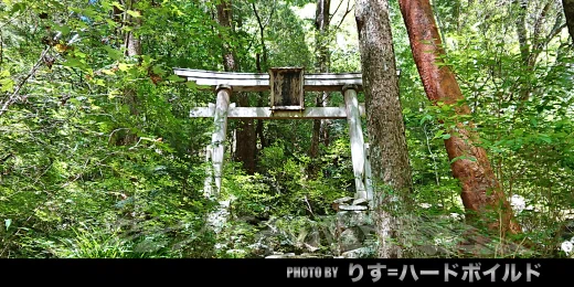 鳥居003