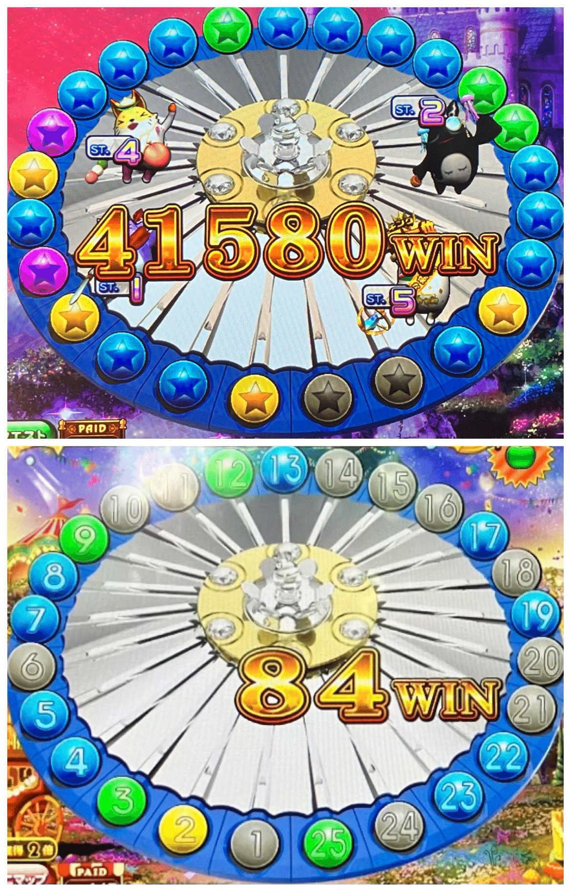 everydayアニマロッタ！】 大冒険の果てに-015- 2025.02.02｜まえす