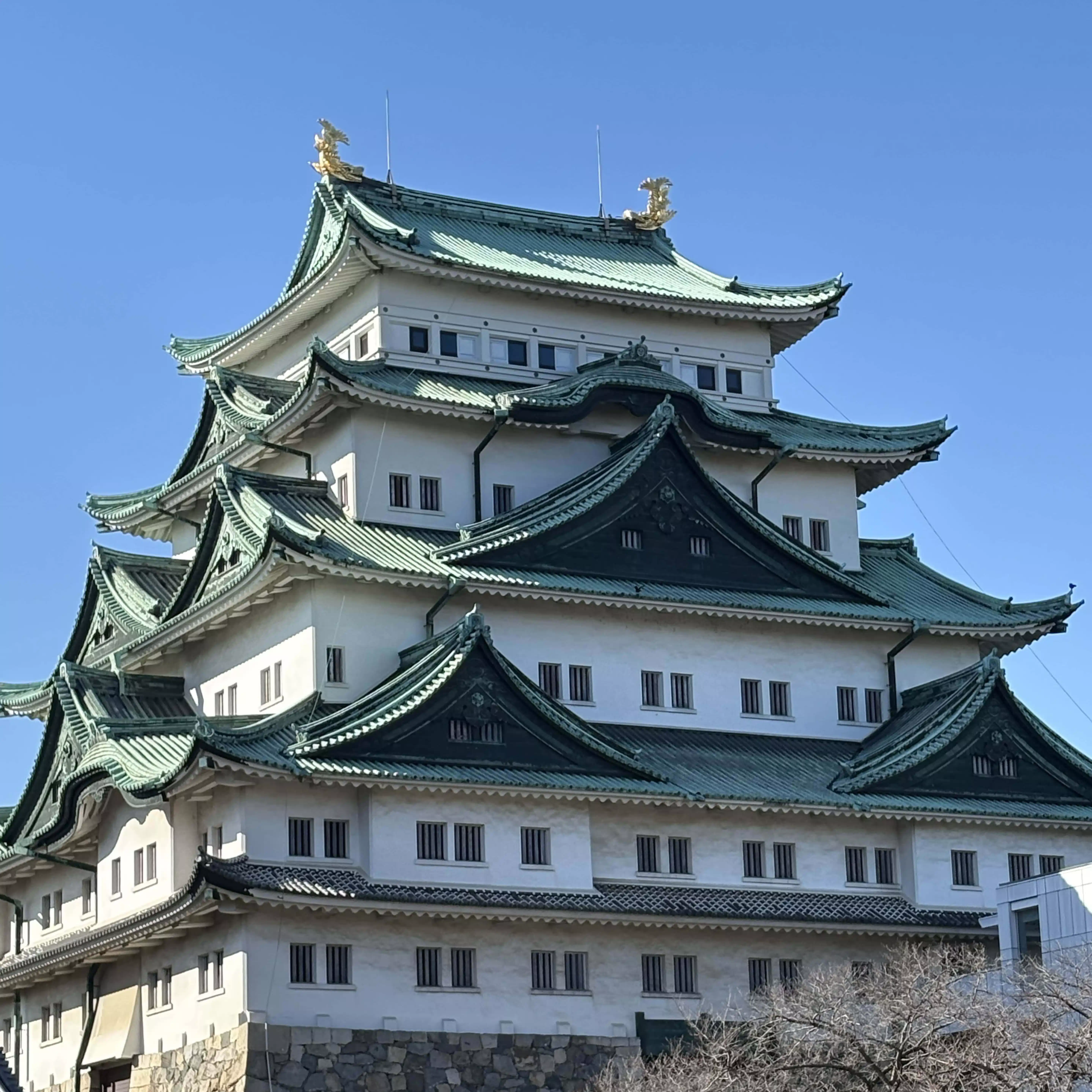 勇利