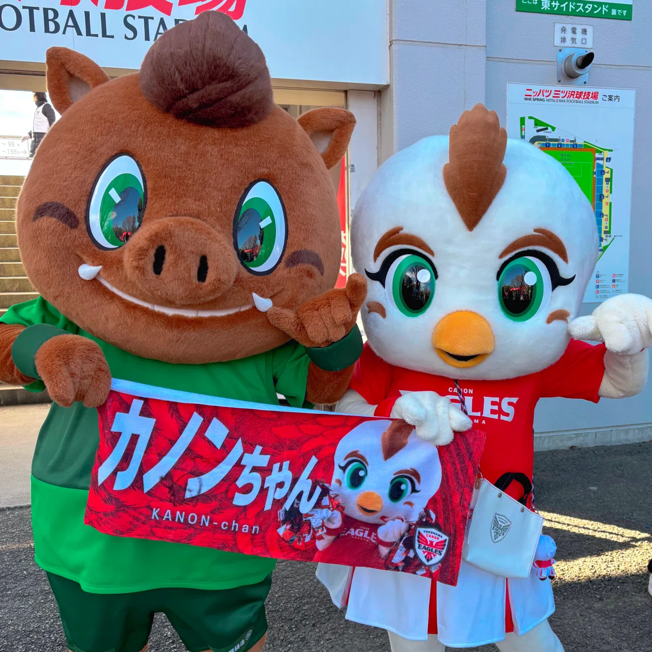 好き」があふれる空間、私の横浜キヤノンイーグルスのホストゲームの