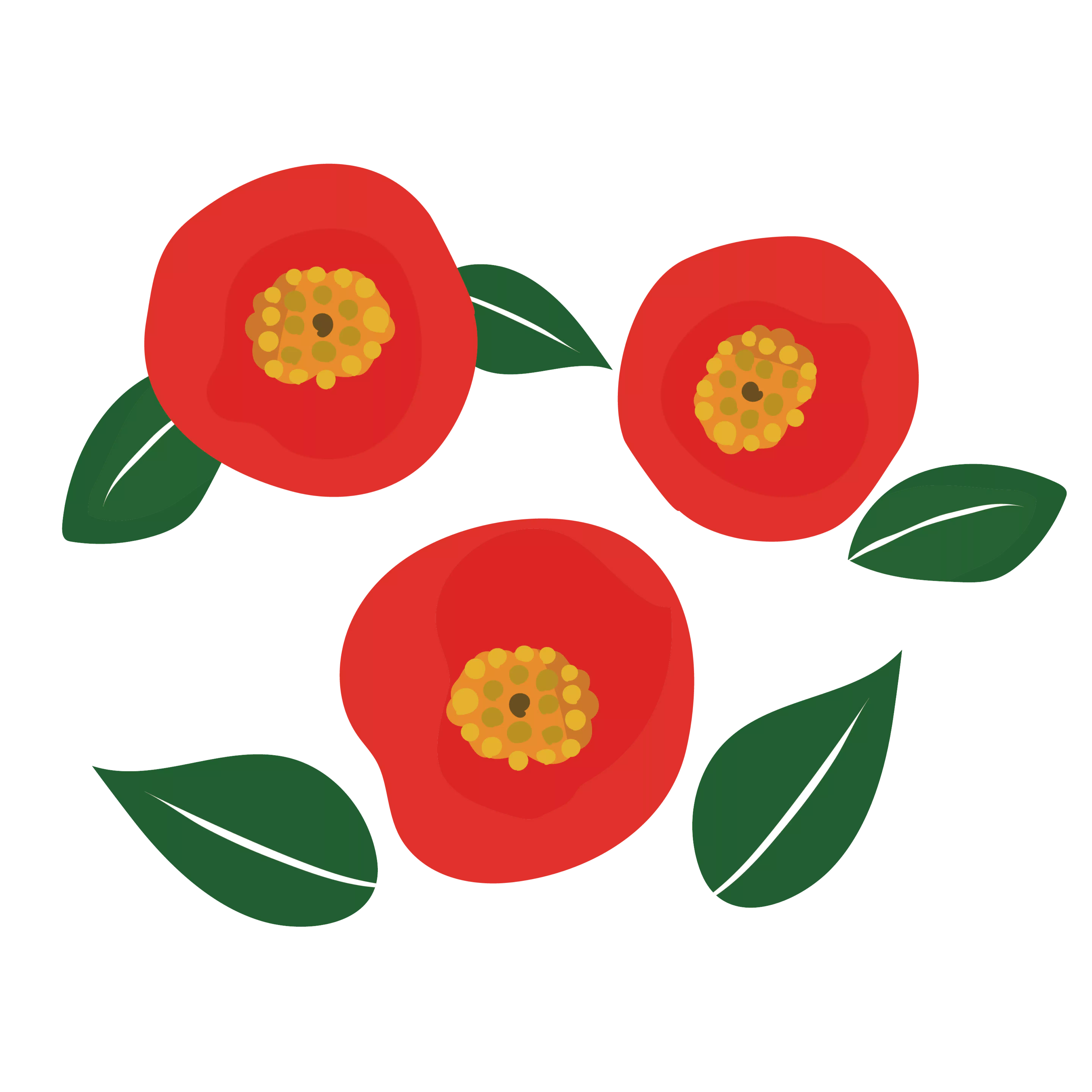 つばきあんこ