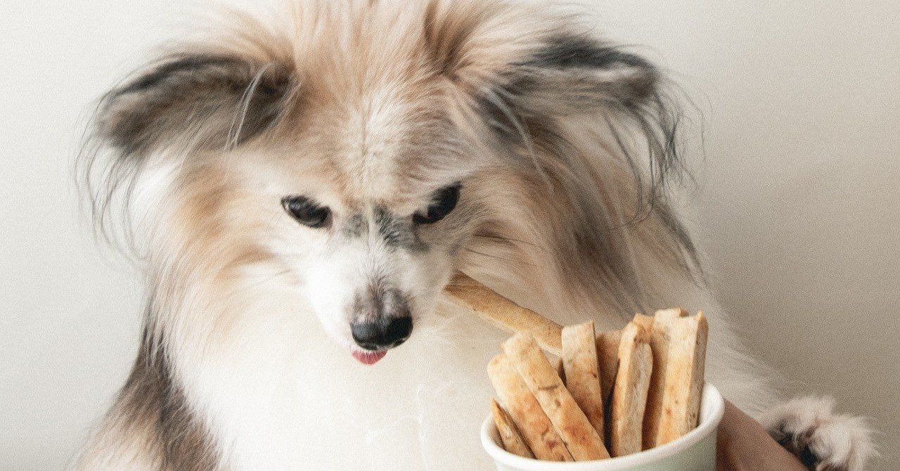 小麦 米アレルギーでも安心 バナナと片栗粉のスティッククッキー 手作り犬おやつレシピ 単品購入 いちかわあやこ 犬ごはん先生 Note 小麦 米アレルギーでも安心 バナナと片栗粉のスティッククッキー 手作り犬おやつレシピ 単品購入 いちかわあやこ 犬ごはん先生 Note