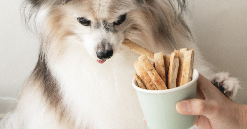 小麦 米アレルギーでも安心 バナナと片栗粉のスティッククッキー 手作り犬おやつレシピ いちかわあやこ 犬ごはん先生 Note