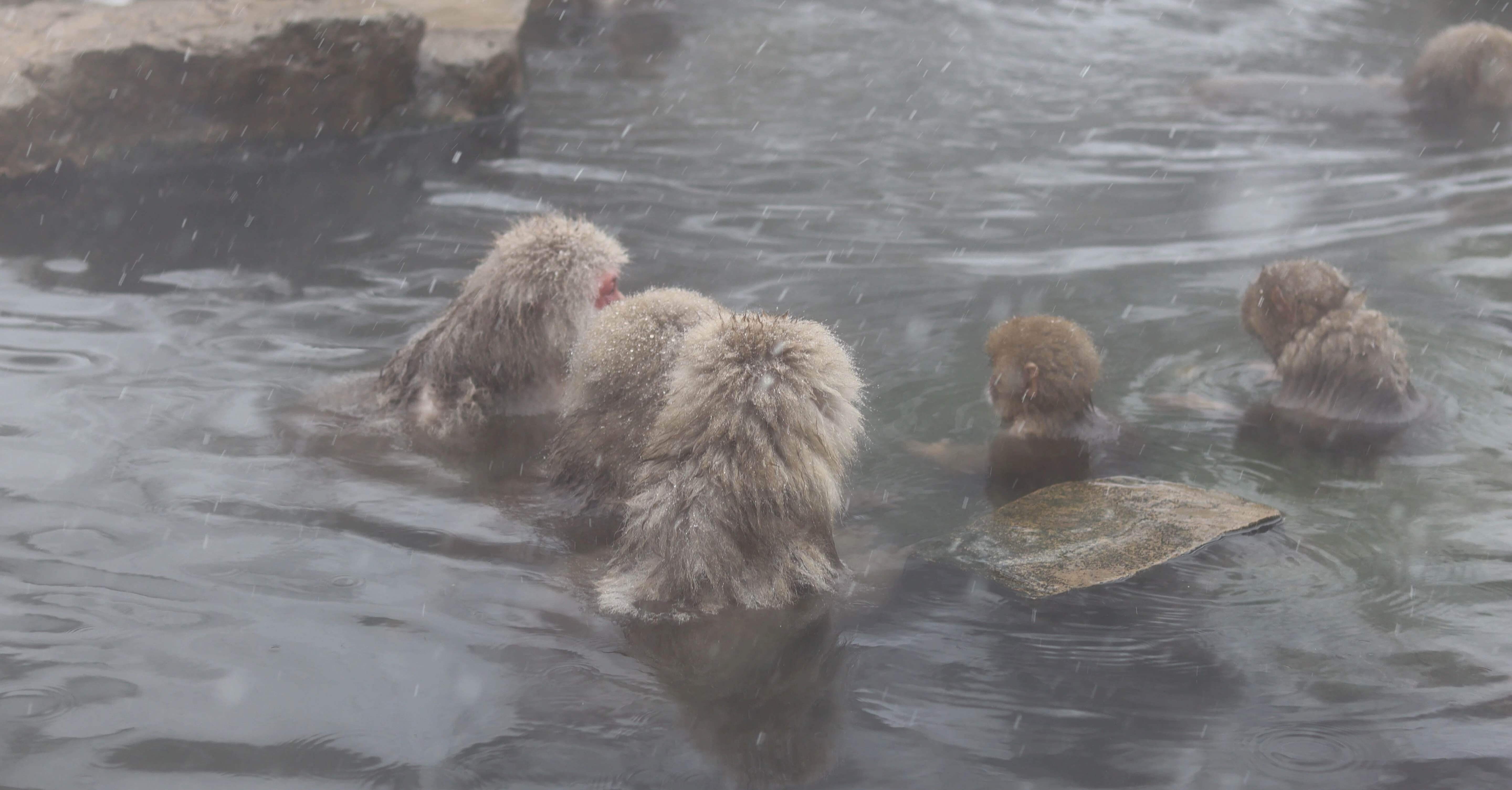 旅猿終了・時代の変わり目｜比嘉功