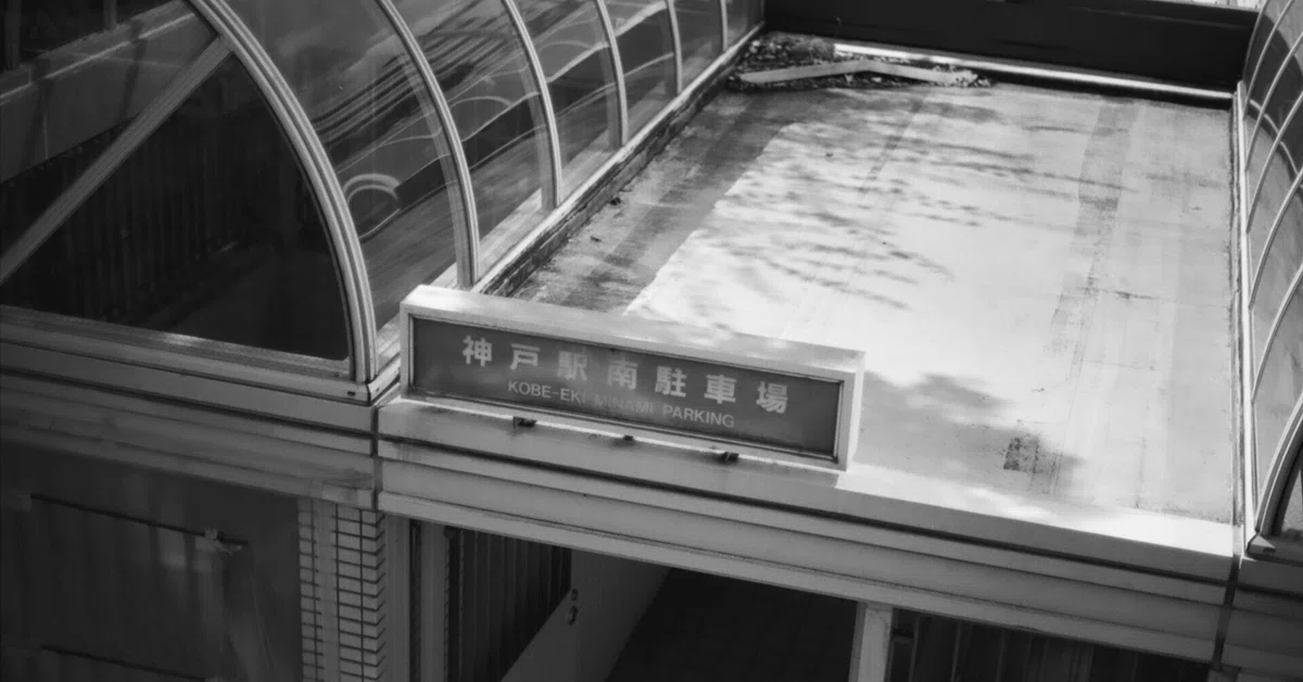 FUJIFILM ACROS 黄ばん 100 フィルム 20枚入り 8×10