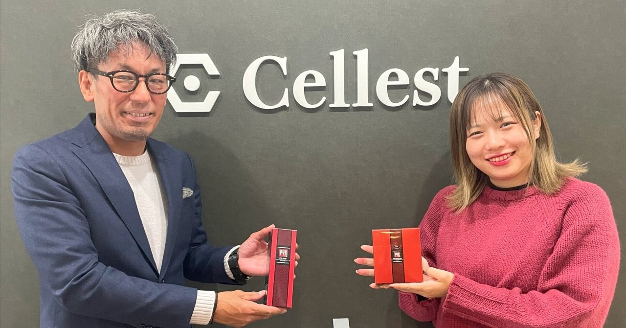 パイラファイリングプラス 2箱セット180g(2g×90包) パイラ パイラファイリングプラス 2箱セット180g(2g×90包) パイラ