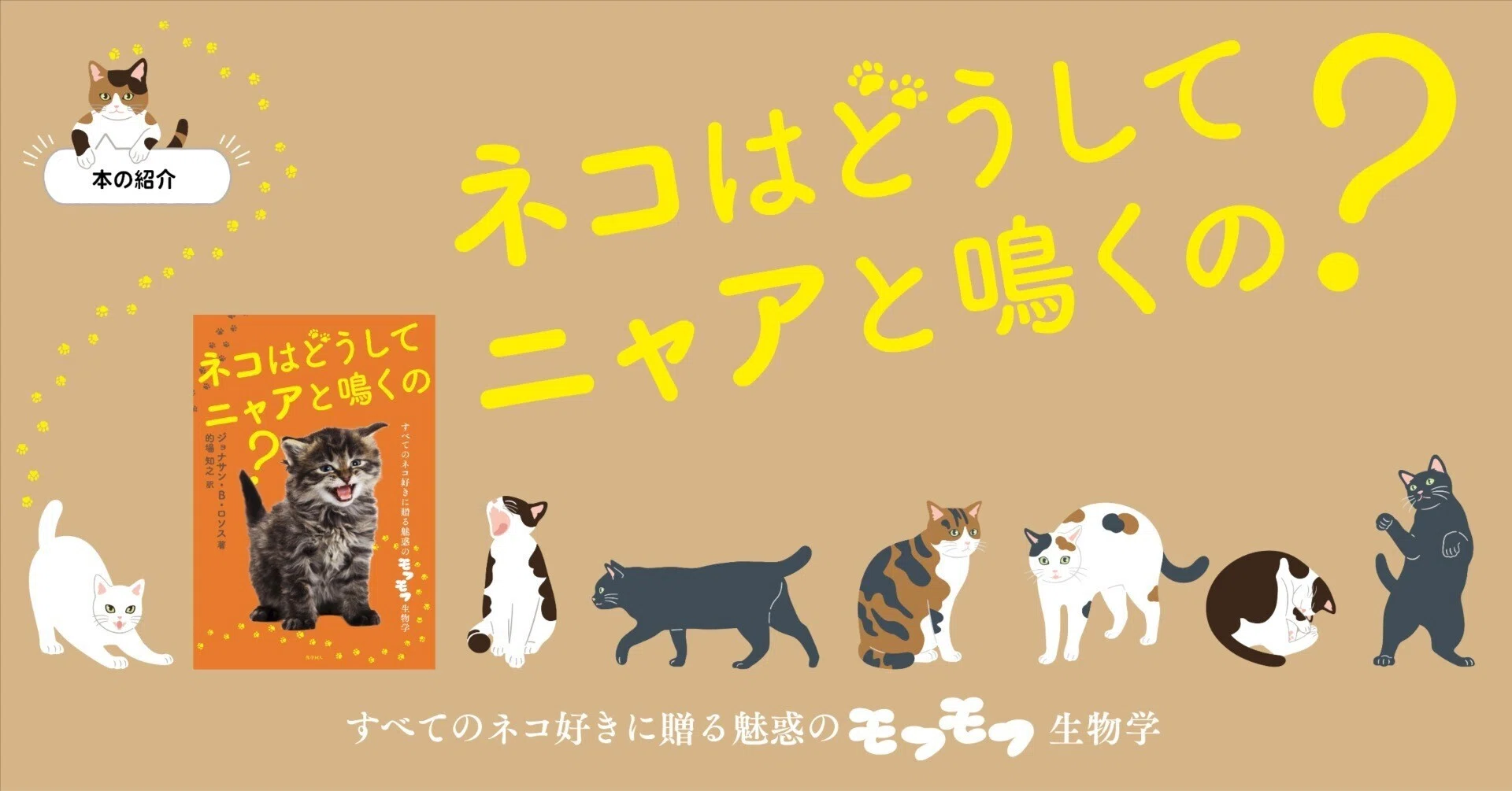 ネコはどうしてニャアと鳴くの？ ｜化学同人編集部