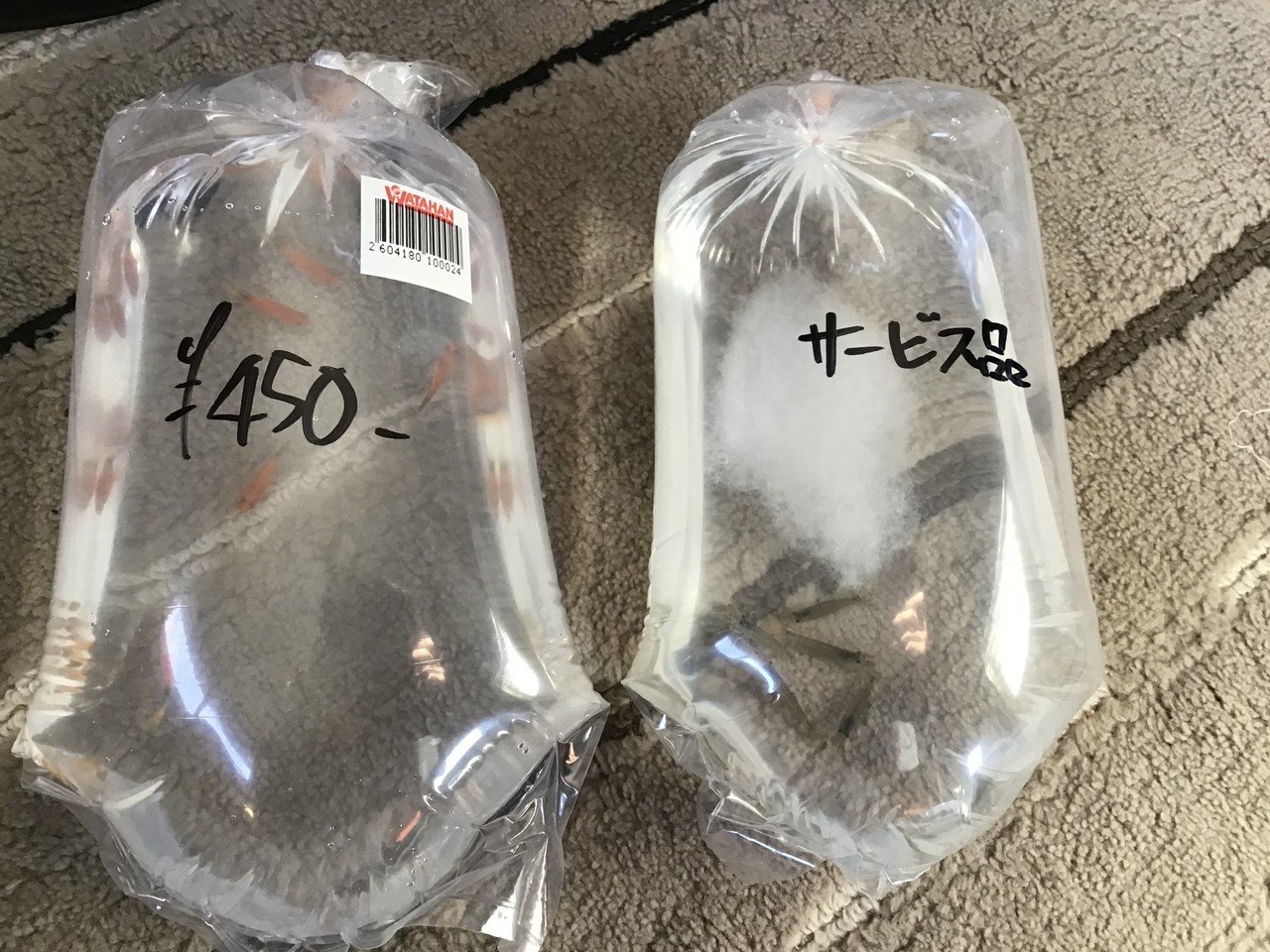 ヤマトヌマエビ ミッキーマウスプラティーの導入 ゆーいちの水槽部屋 Note ヤマトヌマエビ ミッキーマウスプラティーの導入 ゆーいちの水槽部屋 Note