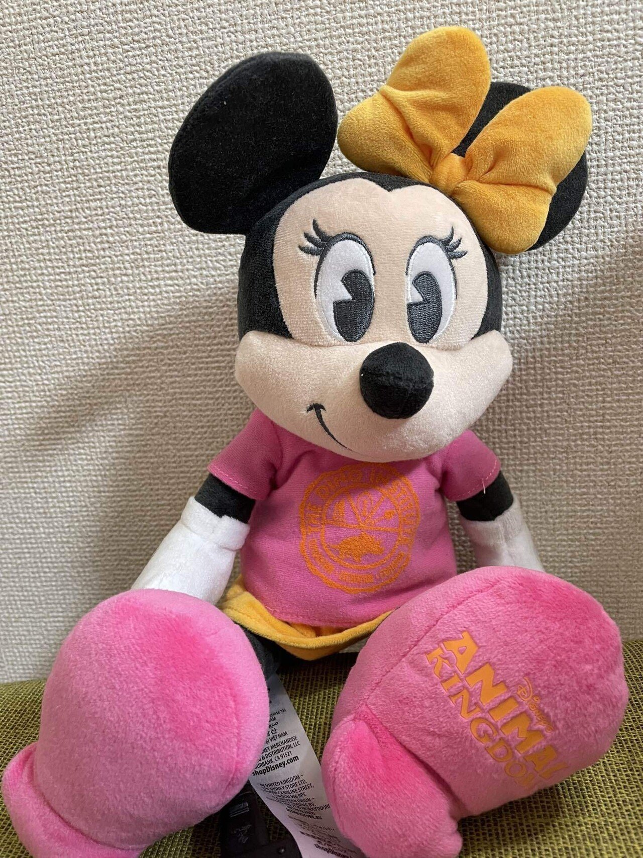24.10WDW旅行記⑤～アニマルキングダム～ディズニーでサファリ