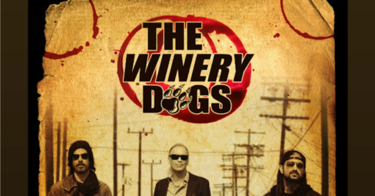 The Winery Dogs ザ・ワイナリー・ドッグス/CDセット ホット 
