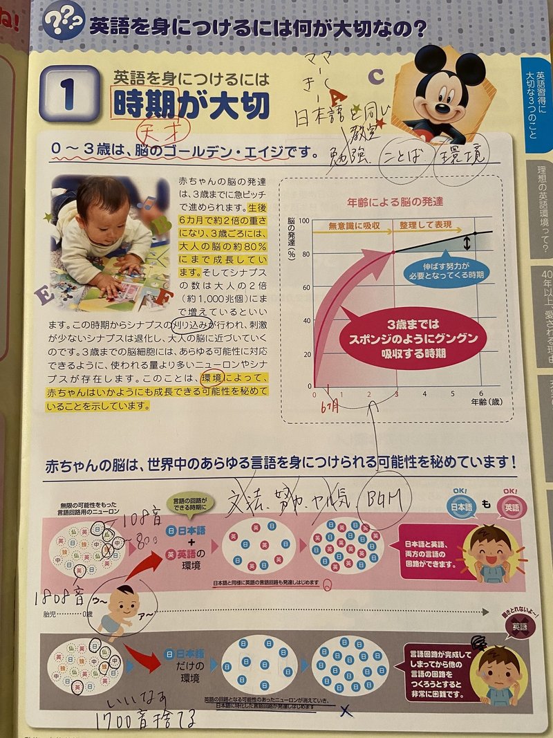 永久保存版 ディズニー英語システムを98万1200円で契約した話 アジアno 1英語教師の超勉強法 の著者 嶋津幸樹 Note