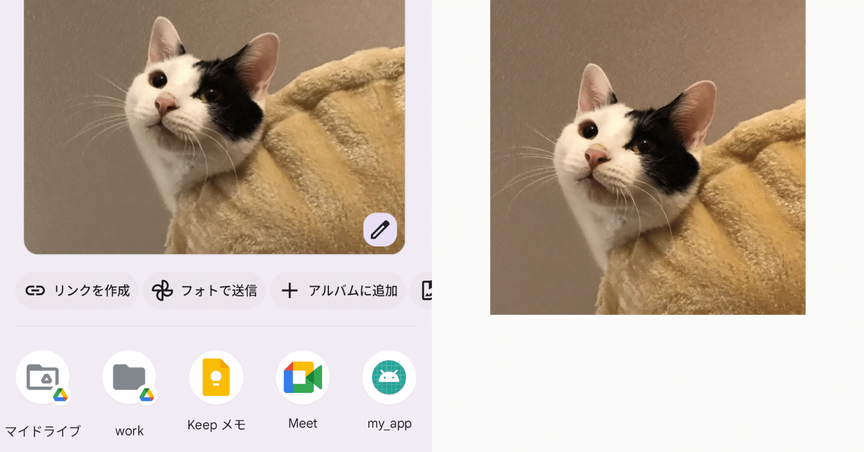 React Native での共有ファイルの受信｜npaka