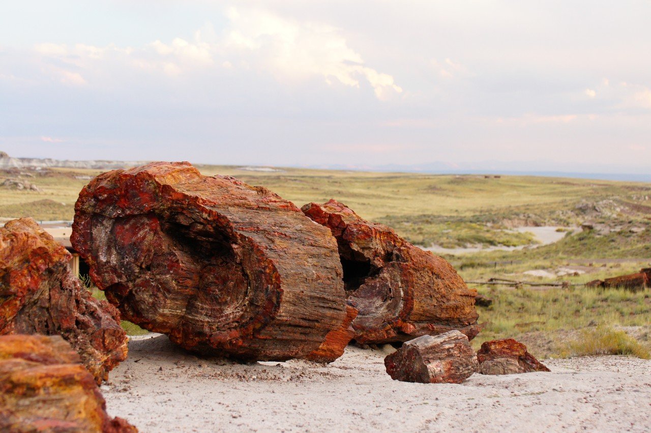 アメリカで出会った100の光景 No. 45（大自然の絶景）丸太のままの