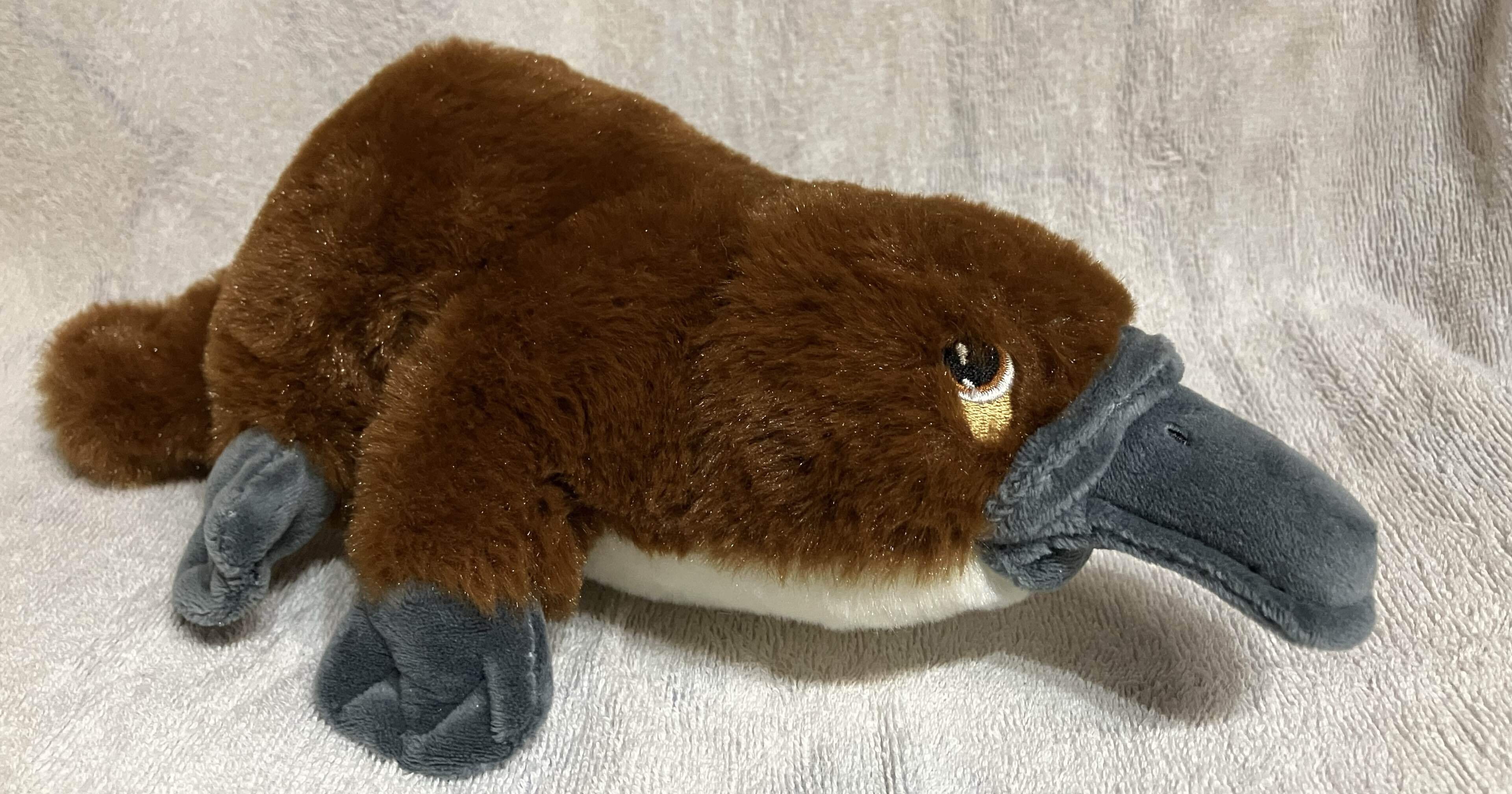 カモノハシの毛色｜カモノハシたろー。