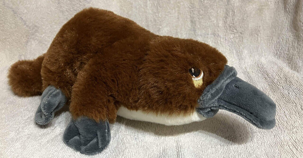 カモノハシの毛色｜カモノハシたろー。