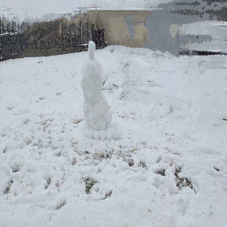 雪だるまが突っ立っている｜内山祥子