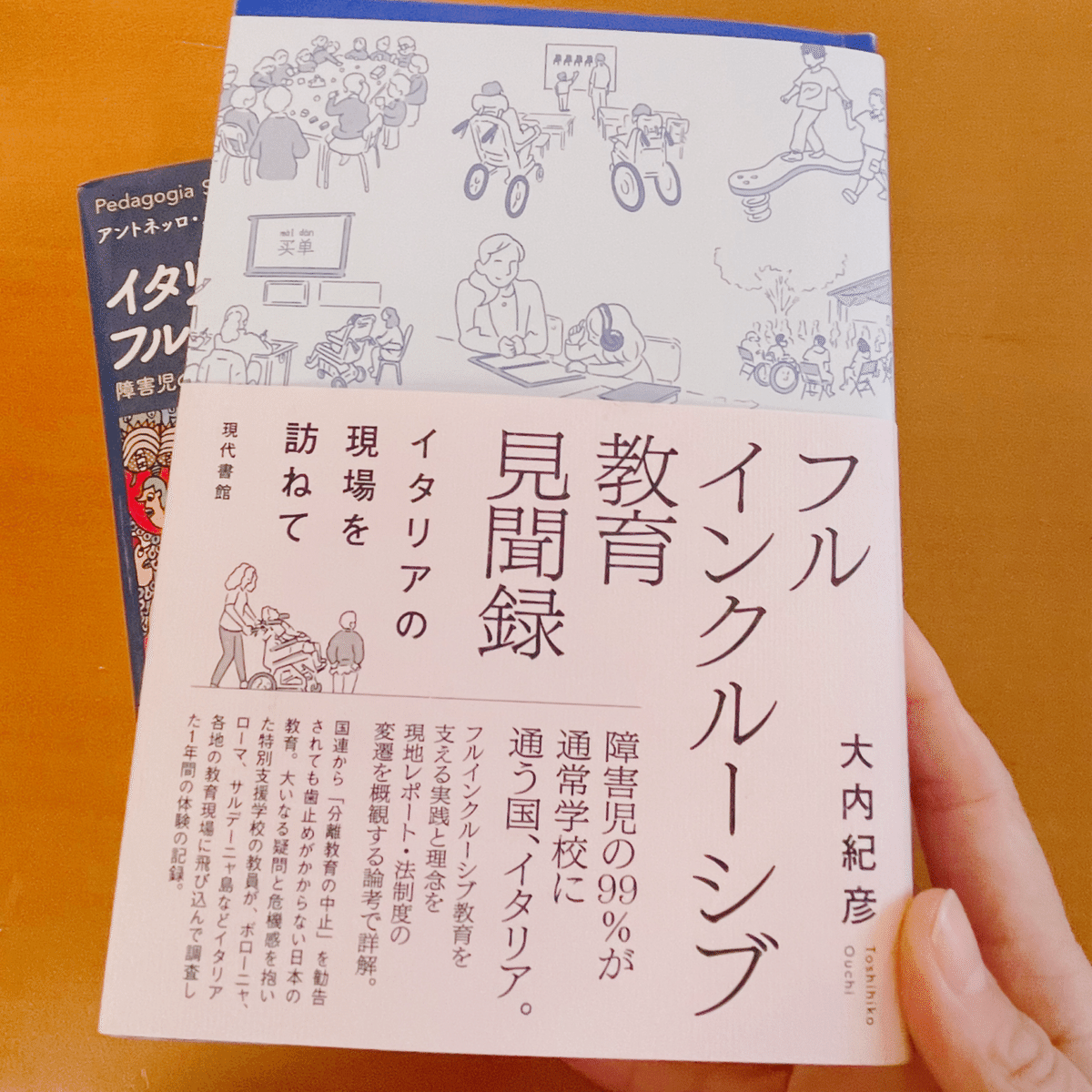 🍀なんなる41未来の種蒔篇(14)「フルインクルーシブ教育見聞録」の所感