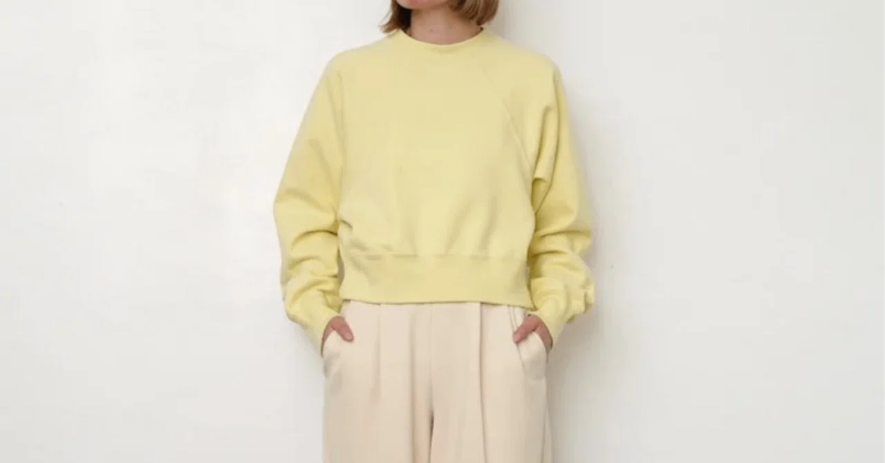 春色カラースウェット【PHEENY】60s vintage fleece raglan P/O