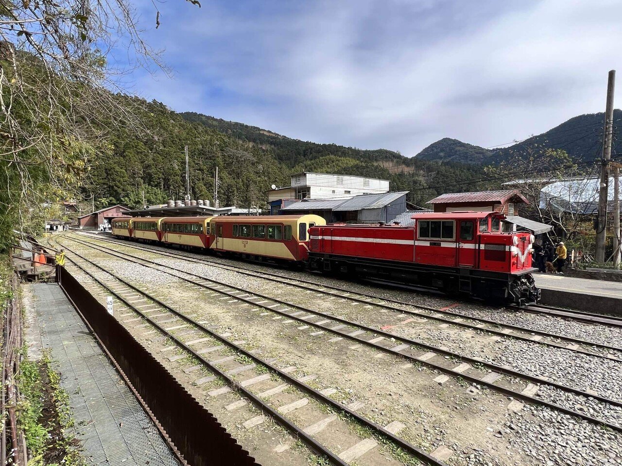 阿里山森林鉄路　PRESSE EISENBAHN Alishan Forest Railway (2025) - All You Need to Know BEFORE