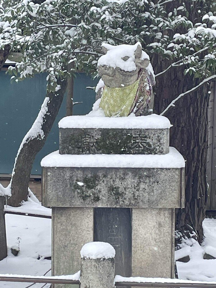 これは、滅多に見られる牛さんの姿ではありません。仮面舞踏会に出かけるいで立ちで、なかなか素敵です。北野天満宮も雪でした。