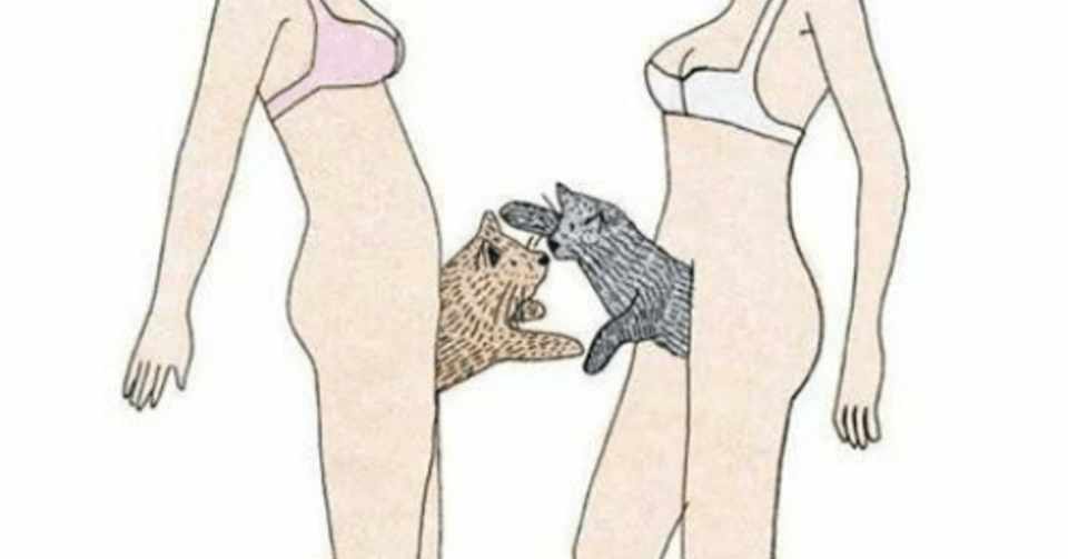 This Is How Lesbians Have Sexのイラストが好きすぎて色んなアイコンとか携帯の壁紙 とかにしていたけど 中学生の女の子にみられて 恥ずかしくなって壁紙にするのはやめたお話 Satsumamay Note