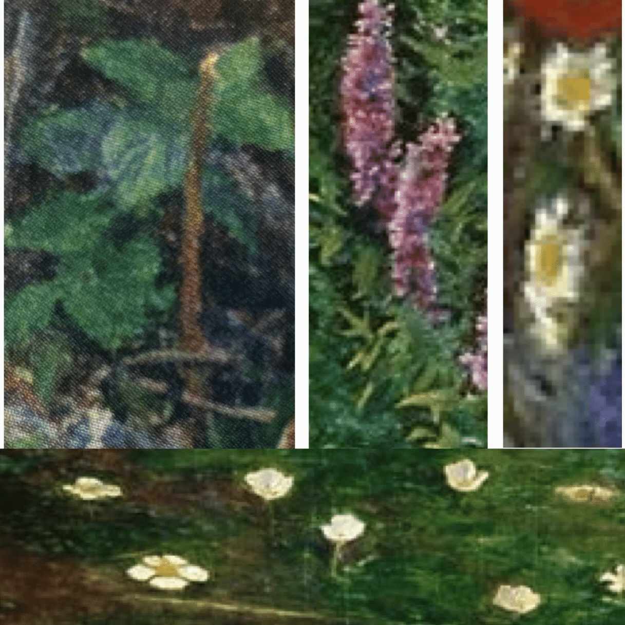 ミレイ《オフィーリア》の花② 描かれた花々｜cha-bliss