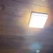 夜ポメラニアン