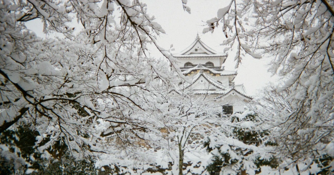 写ルンです】雪の彦根城（2018.1.26）｜イカマリネ
