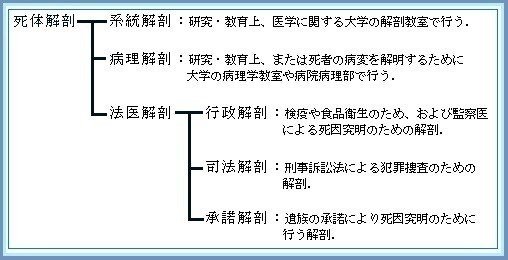 と は 解剖 承諾 承諾解剖実施要綱の制定について（例規通達）/とりネット/鳥取県公式サイト