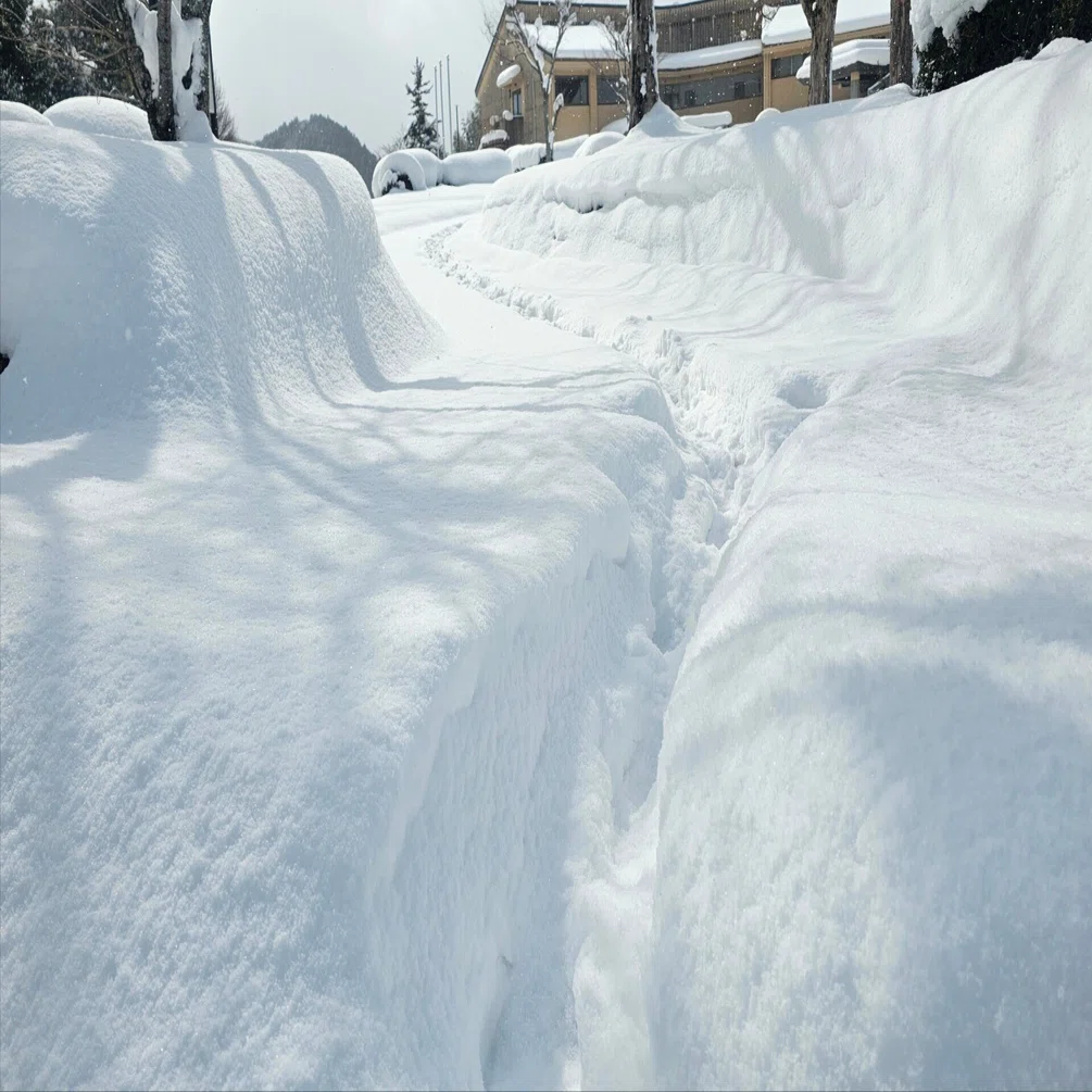 歩道をかきわけ散策 40㎝の雪道を歩いて｜ふみぞう