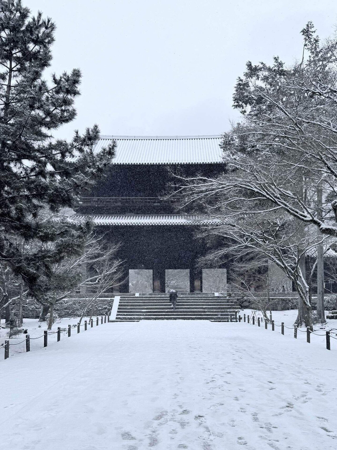 8K] 京都・雪 2023 Kyoto Snow - YouTube