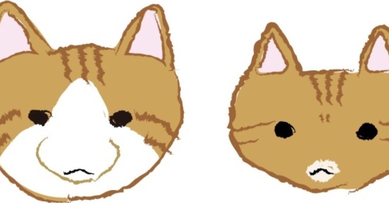 ウチのねこｽﾞ🐈🐈用お年玉｜ෆもふෆ