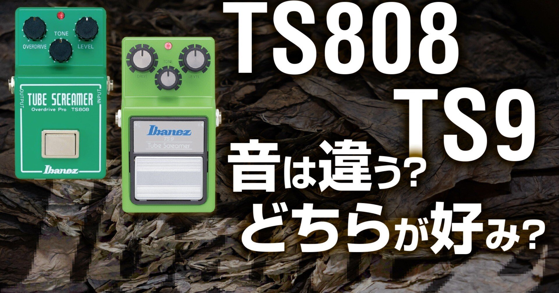 TS9とTS808の話。1度は弾きたいIbanez 定番オーバードライブ