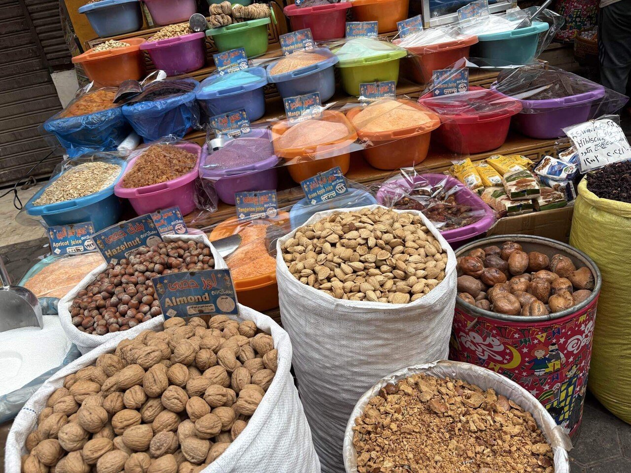 エジプト・トルコ旅行記①｜sachiko