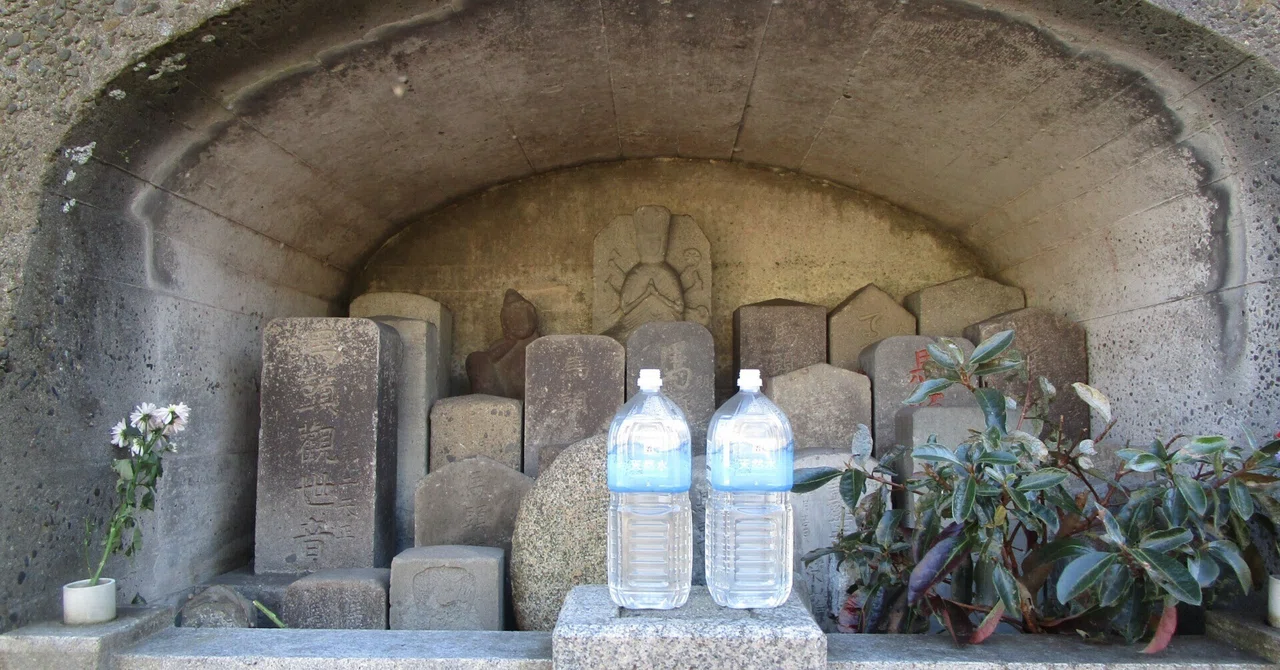 「胡賊」盧水胡説に対する一疑問――「｢縁禾｣と｢太縁｣」補説｜ssekio