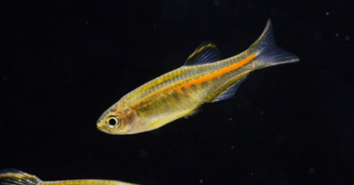 503fafdcc90fd4eef9b856be66b2d7