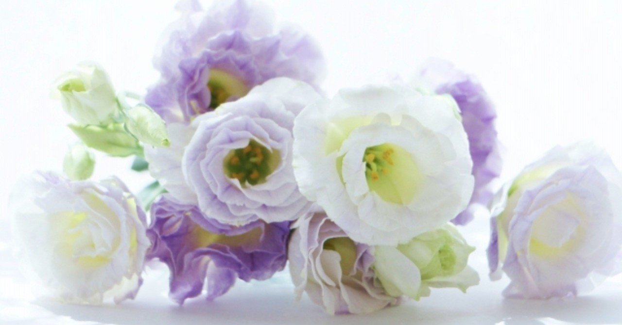 ありがとう の花束 難病になった喜劇作家の 再 入院日記15 かなつん ʃ ʅ Note ありがとう の花束 難病になった喜劇作家の 再 入院日記15 かなつん ʃ ʅ Note