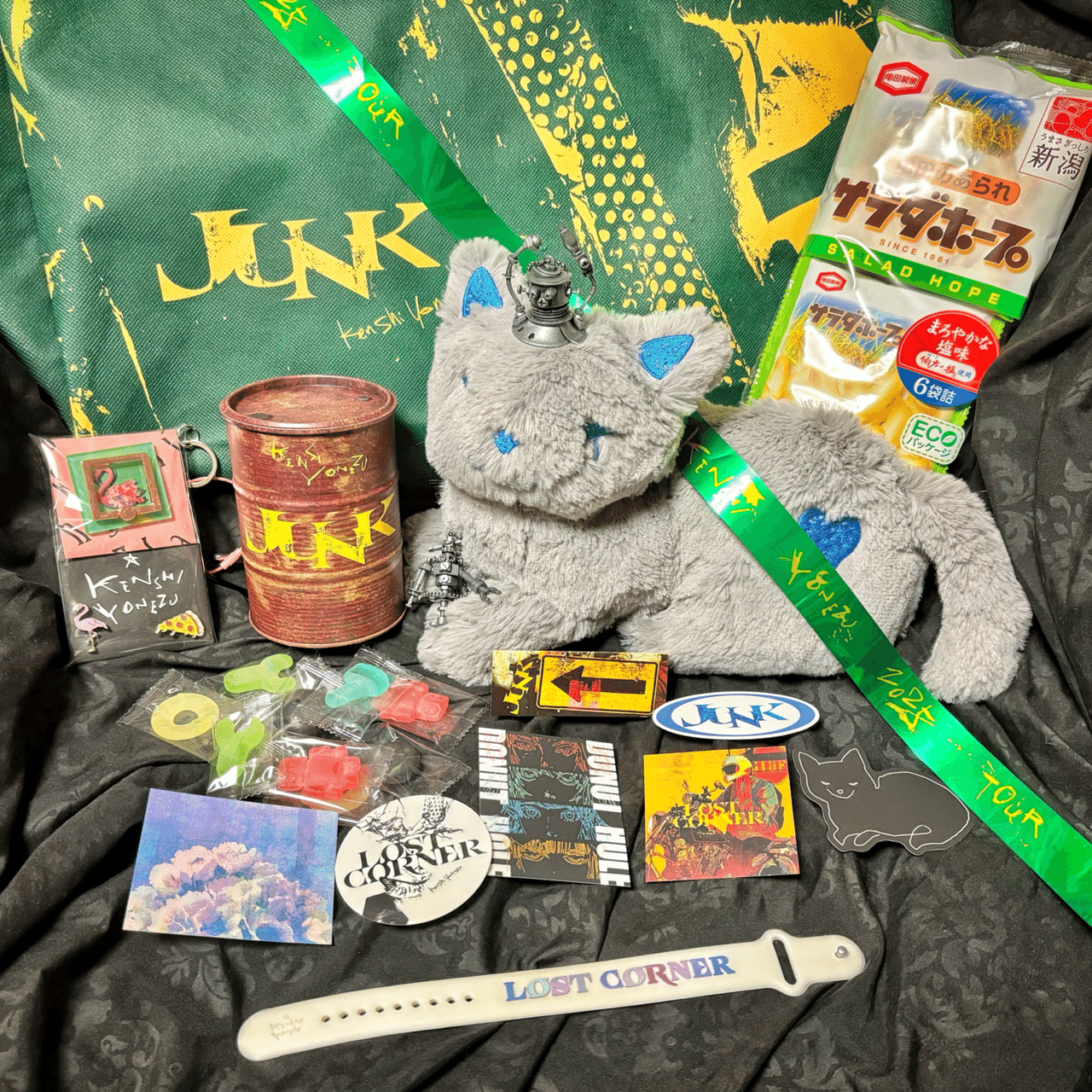 米津玄師 2025 LIVE TOUR JUNK｜ぴーこ