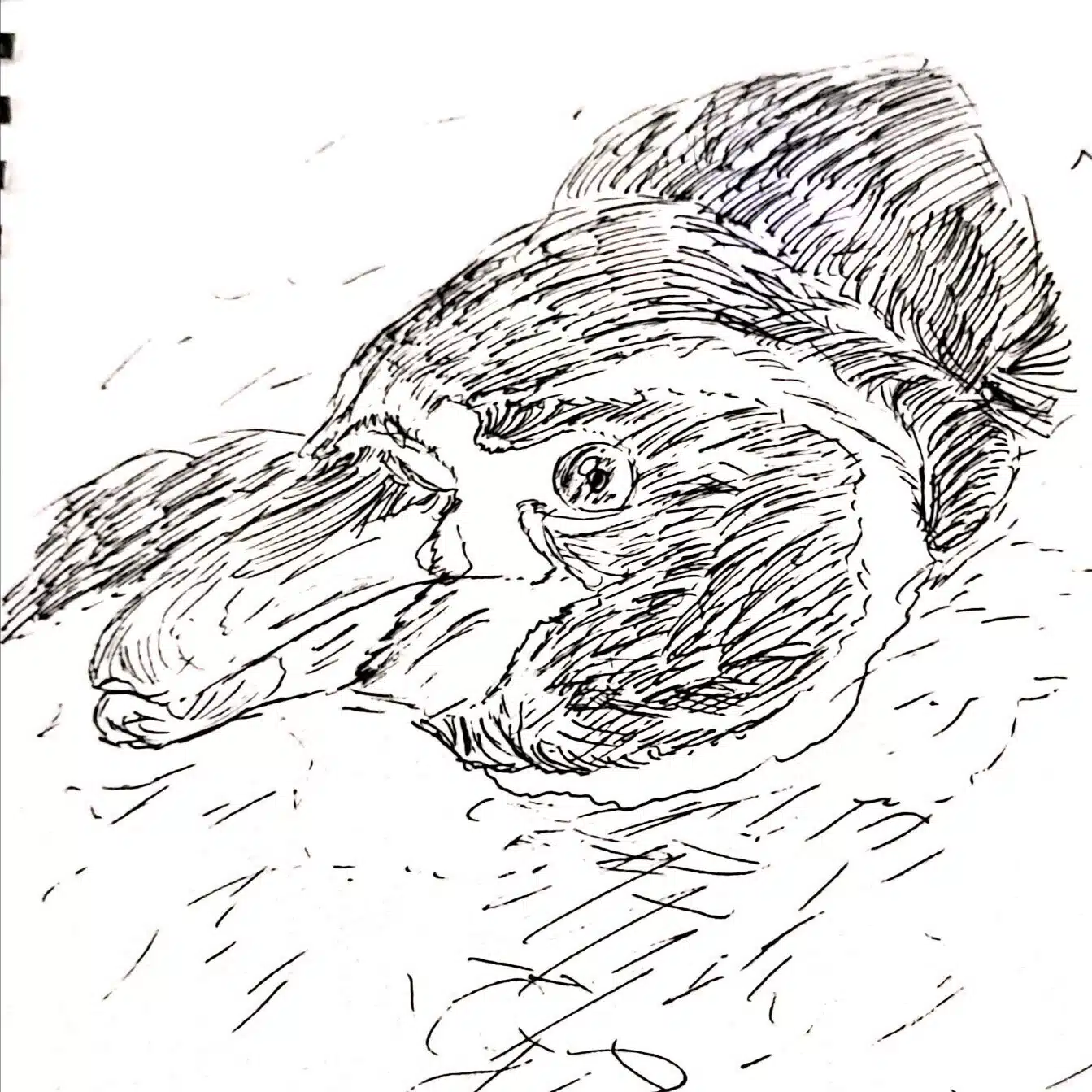 ながさん【イラスト販売始めました！】